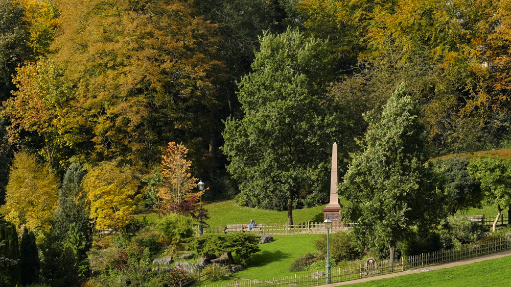 Autumn Avenham Park-1793