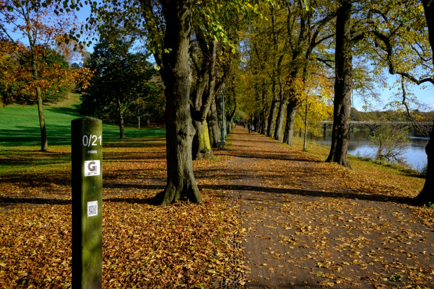 Avenham Park Autumn-4578